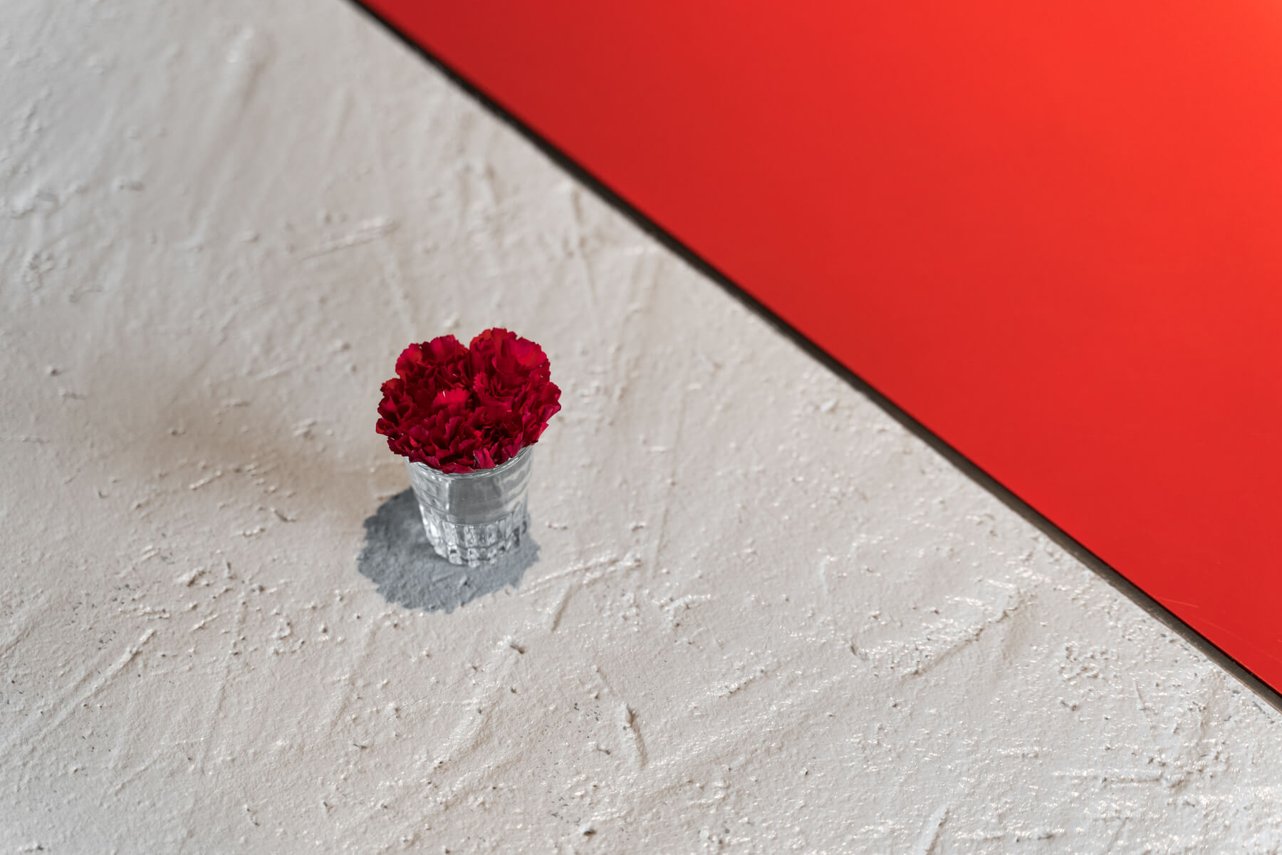 Кафе Зотов, фото номер 1