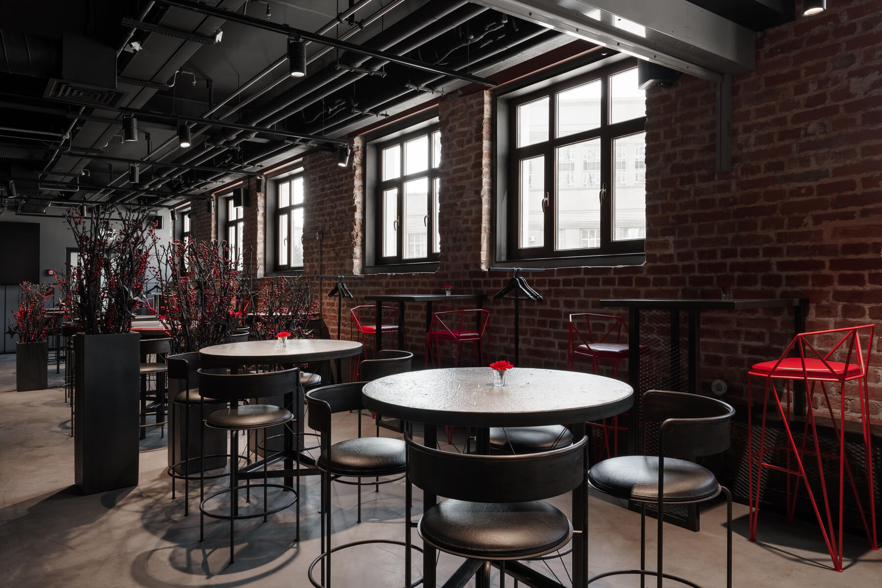 Кафе Зотов, фото номер 8