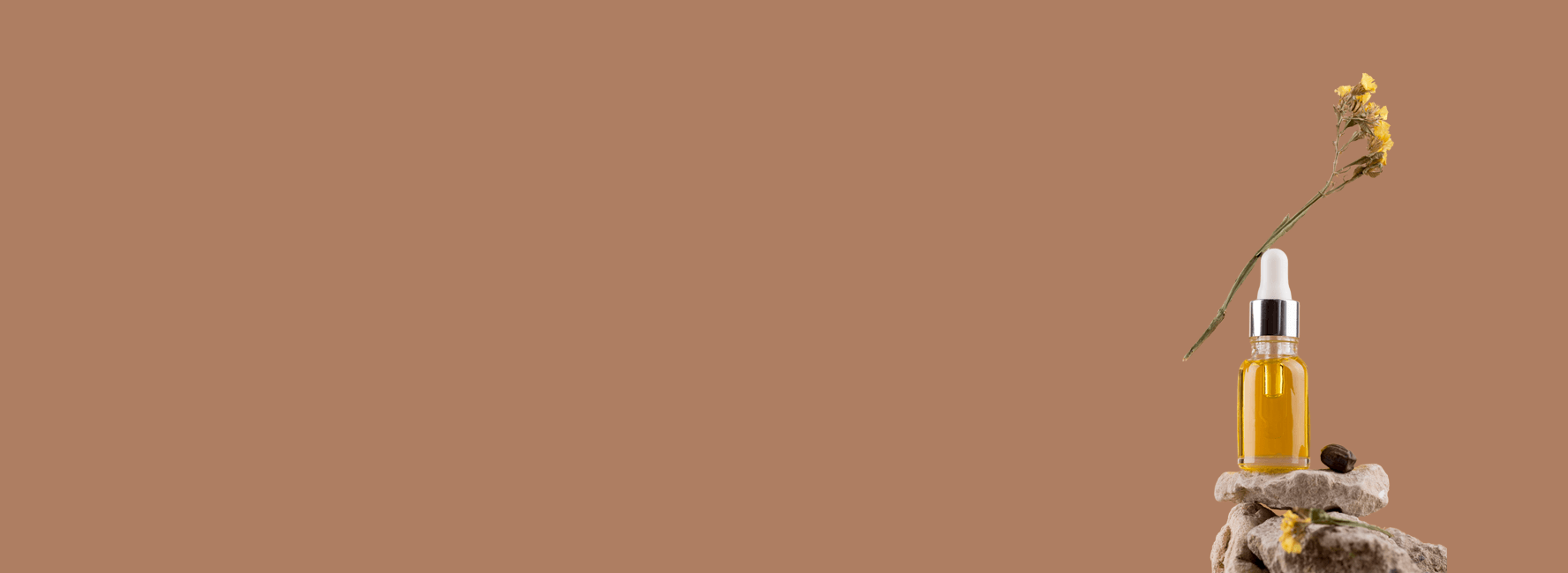 Зотов х NOMKAMO. Парфюмерия цветов