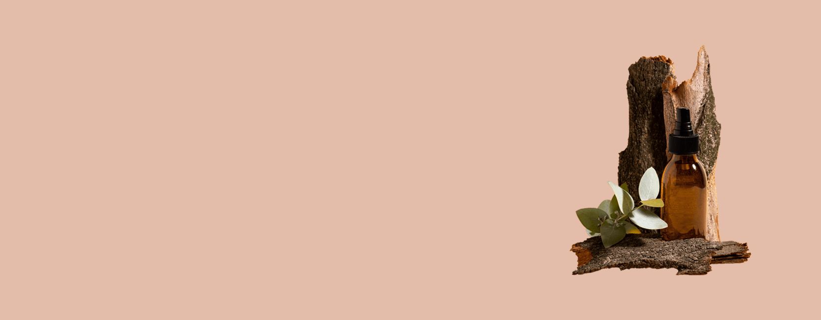 Зотов х NOMKAMO. Древесная гармония