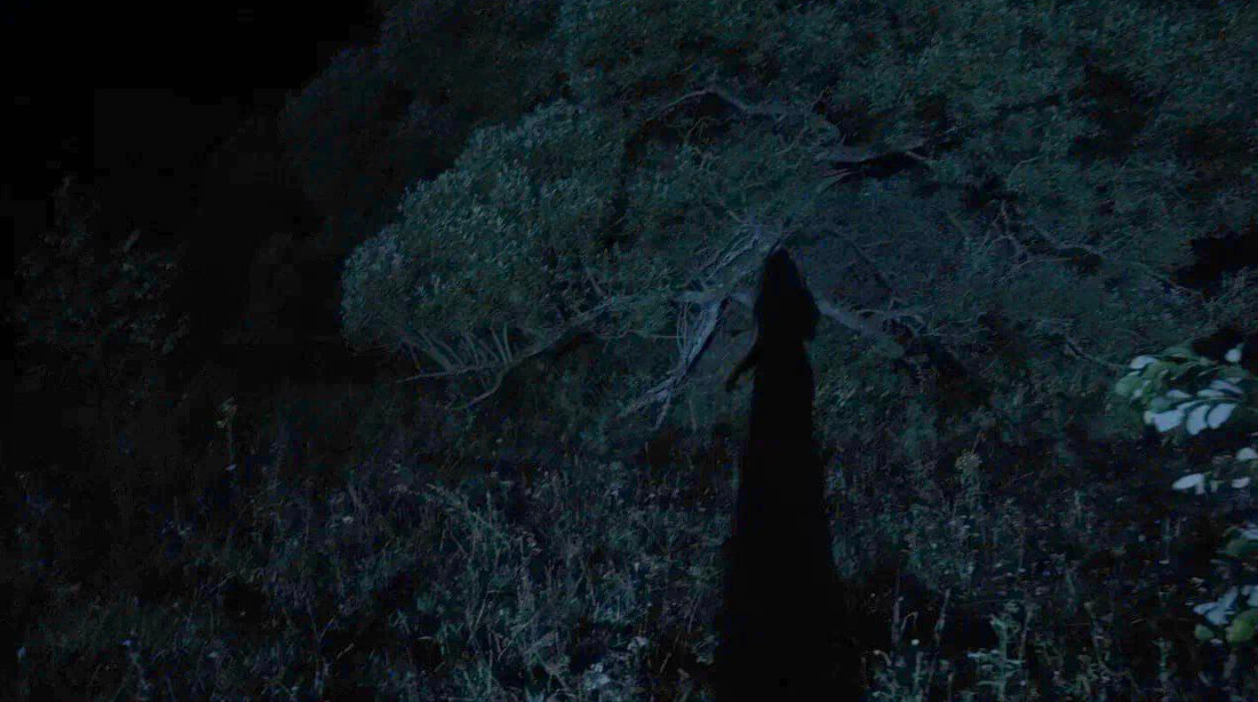 Здесь и сейчас